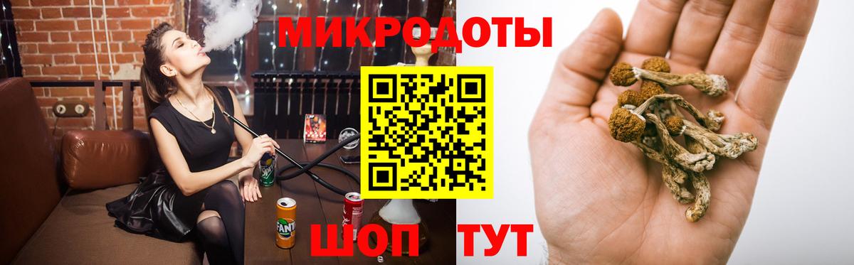 Галлюциногенные грибы Psilocybe Рыбинск
