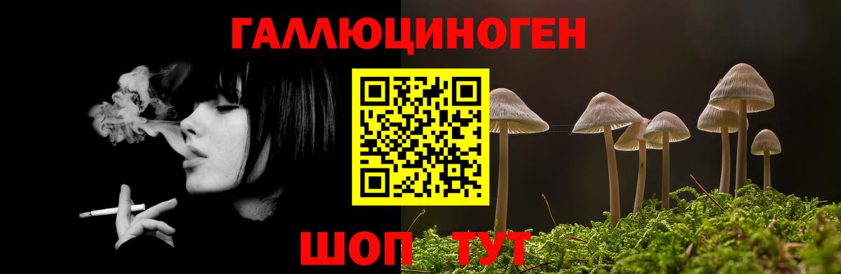 Галлюциногенные грибы Psilocybe  Вход с VPN  Рыбинск 